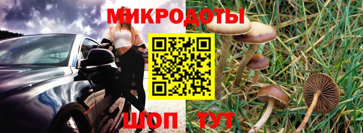 Псилоцибиновые грибы MAGIC MUSHROOMS Таганрог