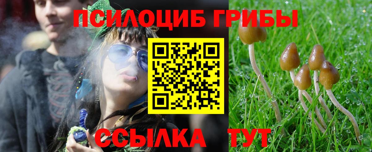 Таганрог  Псилоцибиновые грибы прущие грибы  Галлюциногенные грибы Psilocybe  Вход с VPN 